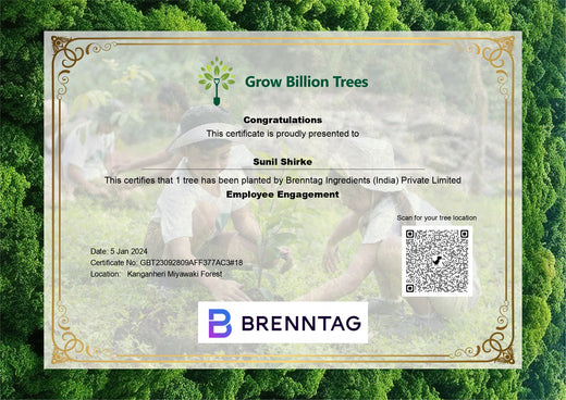 Brenntag's Green Initiative: Employee Tree Plantation in Gurgaon – Planting