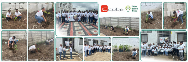 Smart Solutions, Green Impact: Ccube’s Urban Forest Initiative
