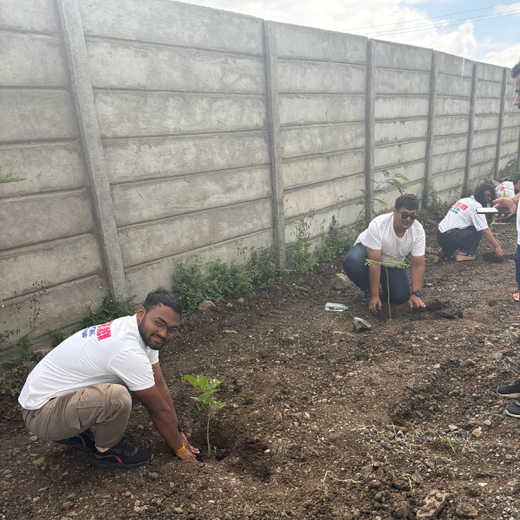 Smart Solutions, Green Impact: Ccube’s Urban Forest Initiative – 6 months