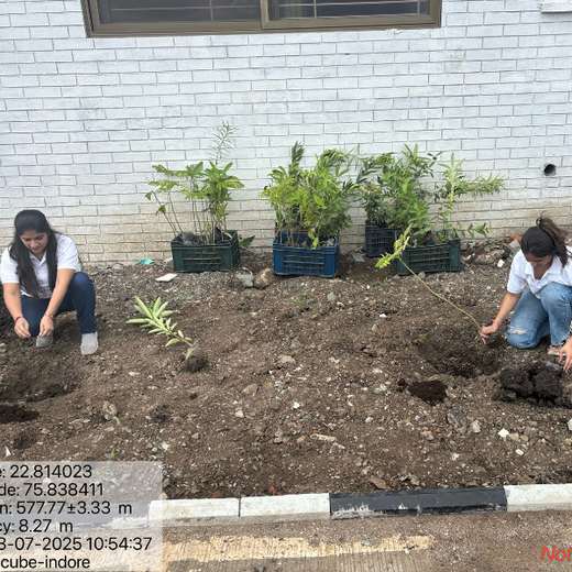 Smart Solutions, Green Impact: Ccube’s Urban Forest Initiative – 6 months