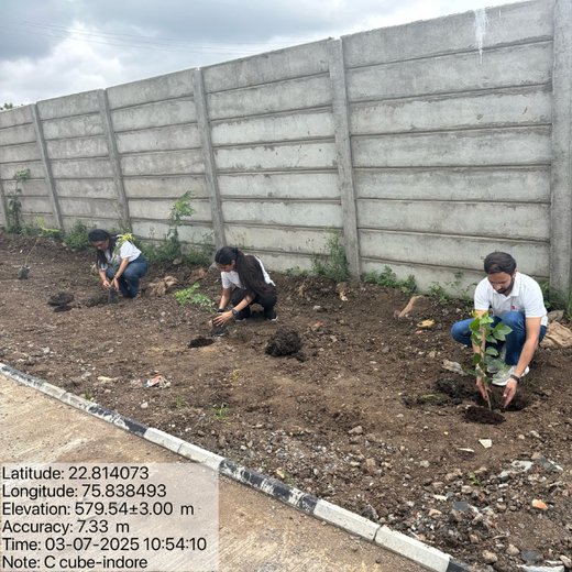 Smart Solutions, Green Impact: Ccube’s Urban Forest Initiative – 6 months
