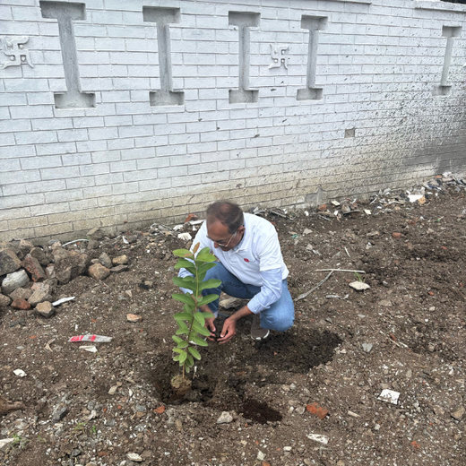 Smart Solutions, Green Impact: Ccube’s Urban Forest Initiative – 6 months
