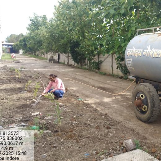 Smart Solutions, Green Impact: Ccube’s Urban Forest Initiative – 1 year