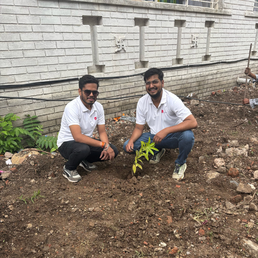 Smart Solutions, Green Impact: Ccube’s Urban Forest Initiative – 6 months