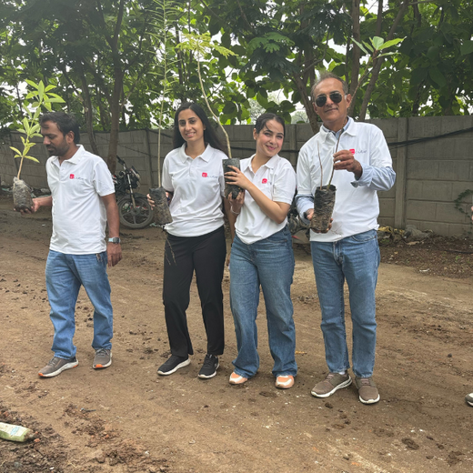 Smart Solutions, Green Impact: Ccube’s Urban Forest Initiative – 6 months