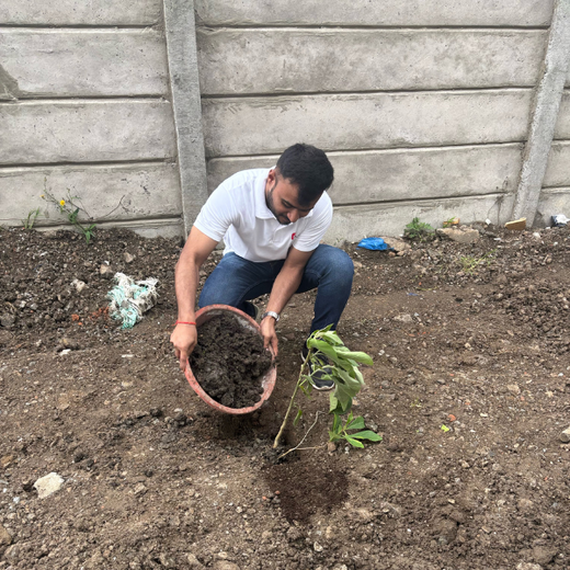 Smart Solutions, Green Impact: Ccube’s Urban Forest Initiative – 6 months