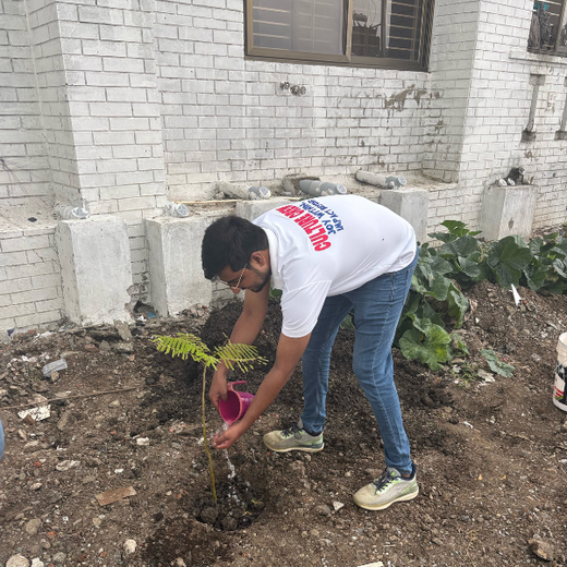 Smart Solutions, Green Impact: Ccube’s Urban Forest Initiative – 6 months