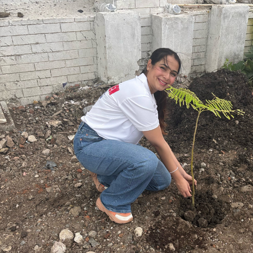 Smart Solutions, Green Impact: Ccube’s Urban Forest Initiative – 6 months