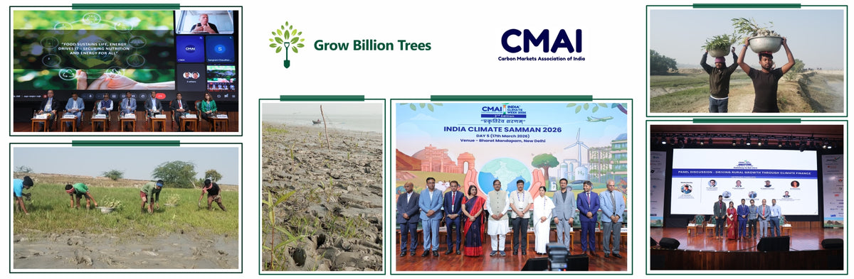 CMAI’s Mangrove Initiative at India Climate Week 2026
