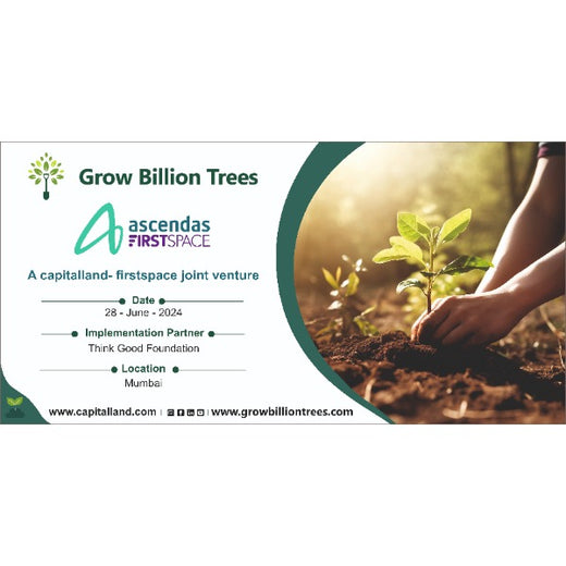 CapitaLand - Firstspace: Fostering Employee Engagement Through Urban Forest Initiatives – Planting