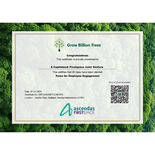 CapitaLand - Firstspace: Fostering Employee Engagement Through Urban Forest Initiatives – Planting