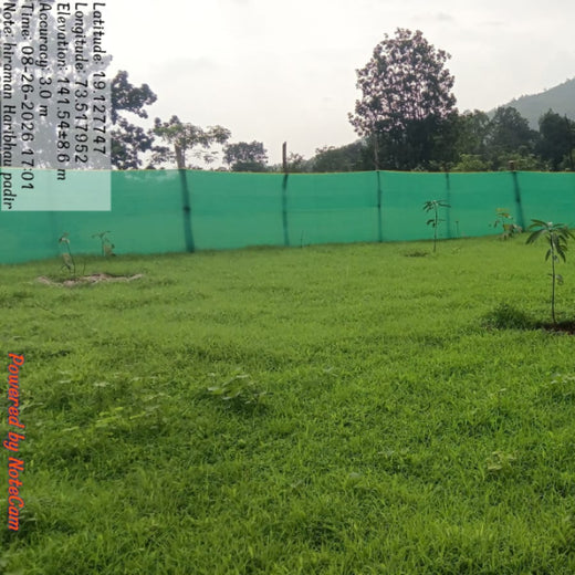 Beyond the Waves: Castle Ships’ Agroforestry Drive for Climate Action – 2 years