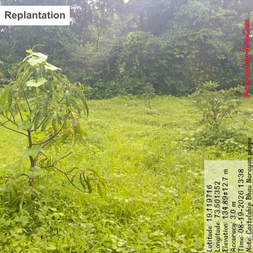 Beyond the Waves: Castle Ships’ Agroforestry Drive for Climate Action – 2 years
