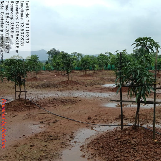 Beyond the Waves: Castle Ships’ Agroforestry Drive for Climate Action – 2 years