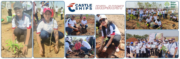 Sailing Towards Sustainability: Castle Ships Plants a Miyawaki Forest for Future Generations