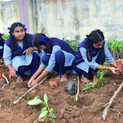 Caterpillar's Legacy: A Thriving Learning forest in Hosur Mathigiri – 6 months