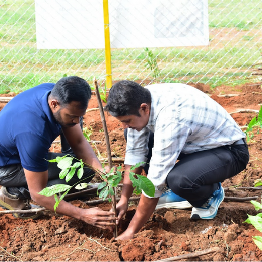 Caterpillar's Legacy: A Thriving Learning forest in Hosur Mathigiri – 6 months