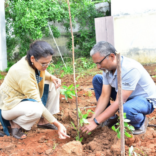 Caterpillar's Legacy: A Thriving Learning forest in Hosur Mathigiri – 6 months