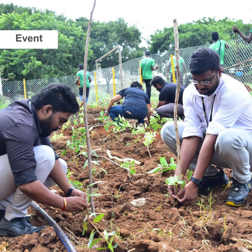 Caterpillar's Legacy: A Thriving Learning forest in Hosur Mathigiri – 6 months