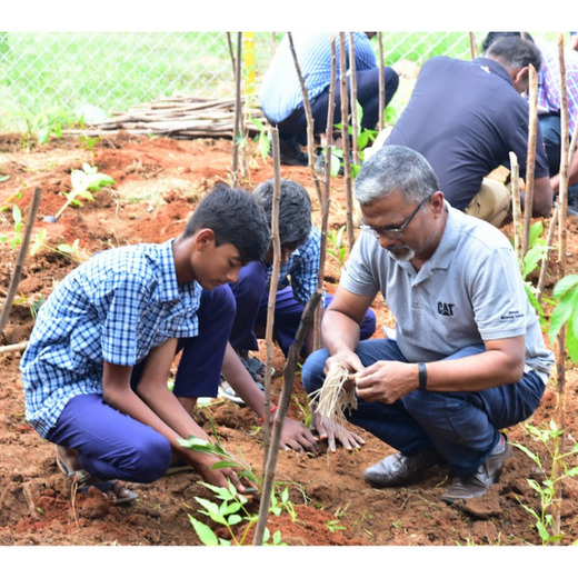 Caterpillar's Legacy: A Thriving Learning forest in Hosur Mathigiri – 6 months