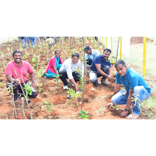 Caterpillar's Legacy: A Thriving Learning forest in Hosur Mathigiri – 6 months