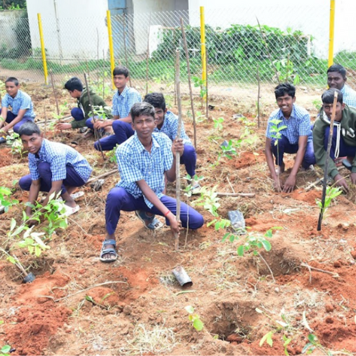 Caterpillar's Legacy: A Thriving Learning forest in Hosur Mathigiri – 6 months