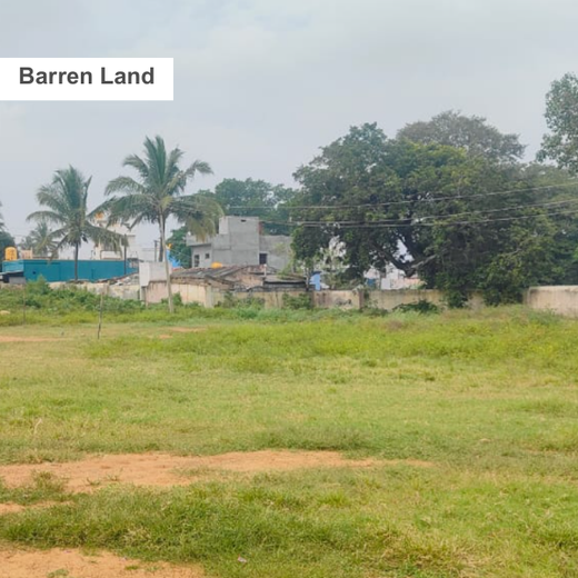 Caterpillar's Legacy: A Thriving Learning forest in Hosur Mathigiri – Planting