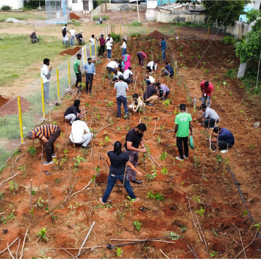 Caterpillar's Legacy: A Thriving Learning forest in Hosur Mathigiri – 6 months