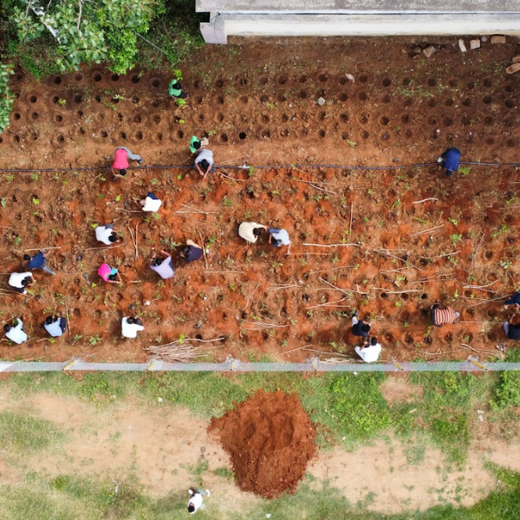 Caterpillar's Legacy: A Thriving Learning forest in Hosur Mathigiri – 6 months