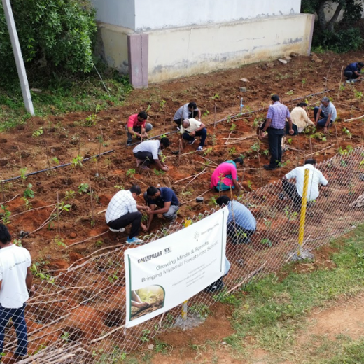 Caterpillar's Legacy: A Thriving Learning forest in Hosur Mathigiri – 6 months
