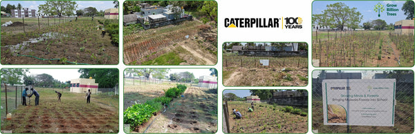 Caterpillar’s Next Green Milestone: Growing a Legacy with learning forest in Sevvapet,Thiruvallur
