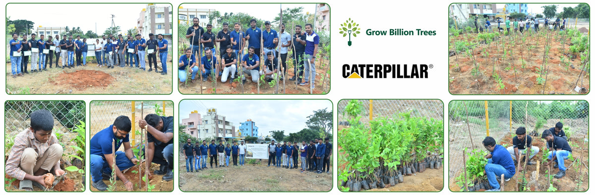 Caterpillar's Legacy: A Thriving Learning forest in Hosur Sultanpet