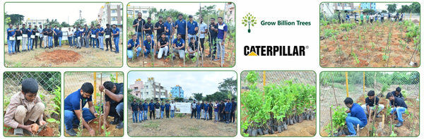 Caterpillar's Legacy: A Thriving Learning forest in Hosur Sultanpet