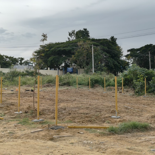 Caterpillar's Legacy: A Thriving Learning forest in Hosur Sultanpet – Planting