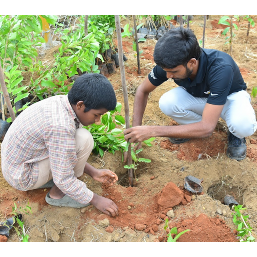 Caterpillar's Legacy: A Thriving Learning forest in Hosur Sultanpet – 6 months