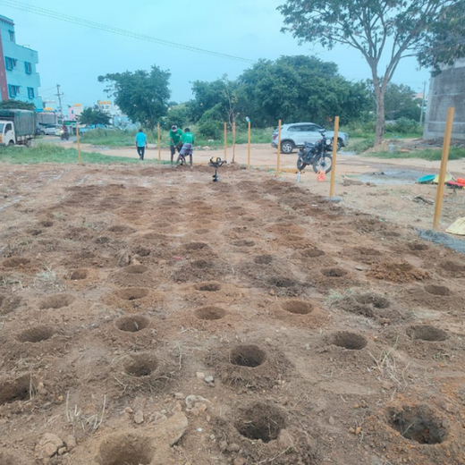 Caterpillar's Legacy: A Thriving Learning forest in Hosur Sultanpet – Planting