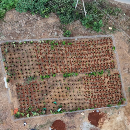 Caterpillar's Legacy: A Thriving Learning forest in Hosur Sultanpet – Planting