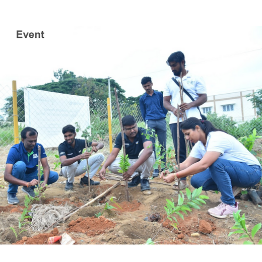Caterpillar's Legacy: A Thriving Learning forest in Hosur Sultanpet – 6 months