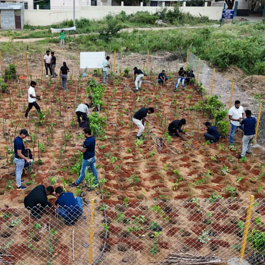 Caterpillar's Legacy: A Thriving Learning forest in Hosur Sultanpet – 6 months