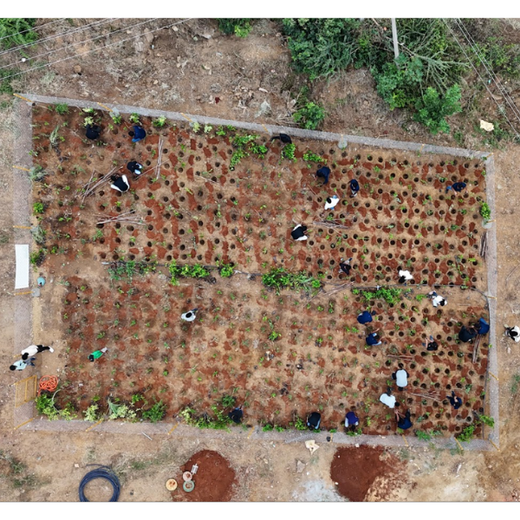 Caterpillar's Legacy: A Thriving Learning forest in Hosur Sultanpet – 6 months