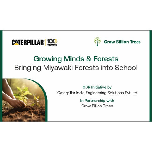 Caterpillar's Legacy: A Learning forest in Kadambathur, Thiruvallur – 6 months