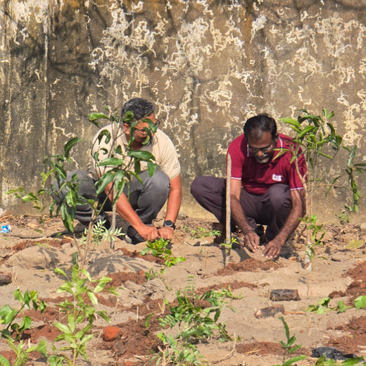Caterpillar's Legacy: A Learning forest in Kadambathur, Thiruvallur – 6 months