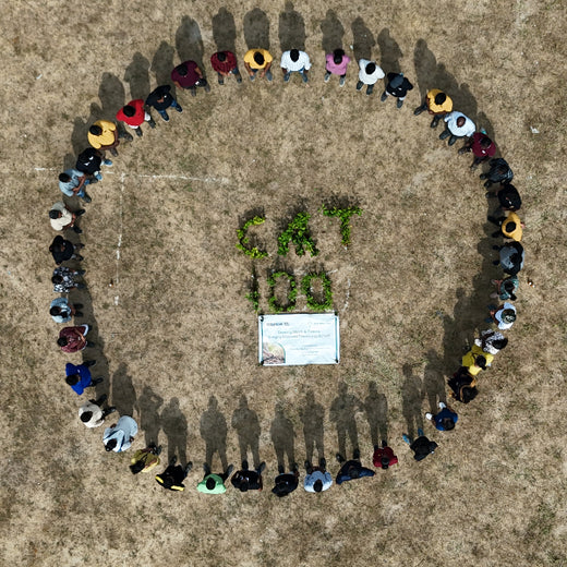 Caterpillar's Legacy: A Learning forest in Kadambathur, Thiruvallur – 6 months