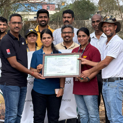Caterpillar's Legacy: A Learning forest in Kadambathur, Thiruvallur – 6 months