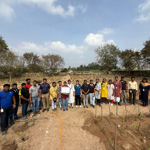 Caterpillar's Legacy: A Learning forest in Kadambathur, Thiruvallur – 6 months