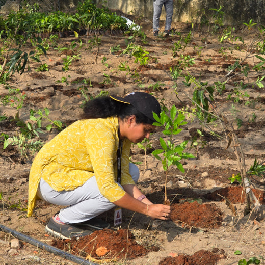 Caterpillar's Legacy: A Learning forest in Kadambathur, Thiruvallur – 6 months
