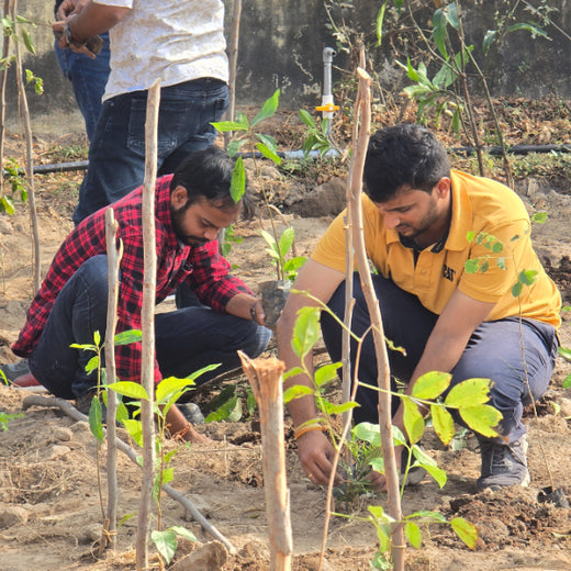 Caterpillar's Legacy: A Learning forest in Kadambathur, Thiruvallur – 6 months