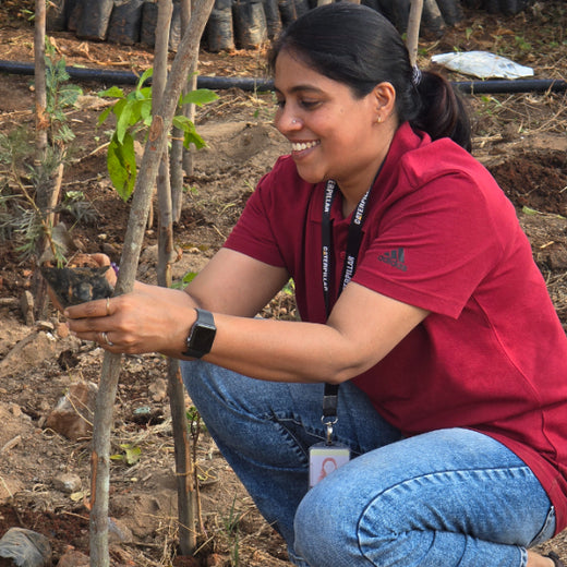 Caterpillar's Legacy: A Learning forest in Kadambathur, Thiruvallur – 6 months
