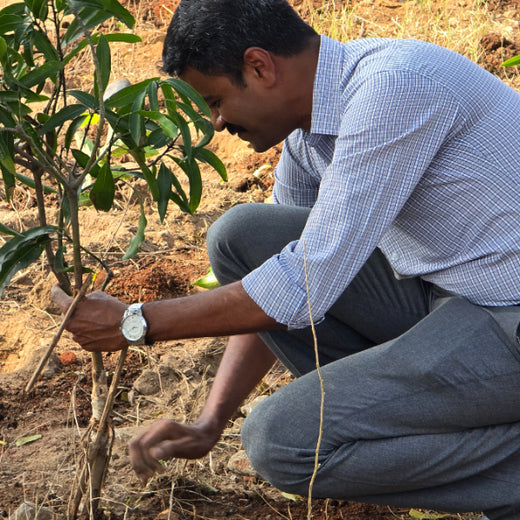 Caterpillar's Legacy: A Learning forest in Kadambathur, Thiruvallur – 6 months