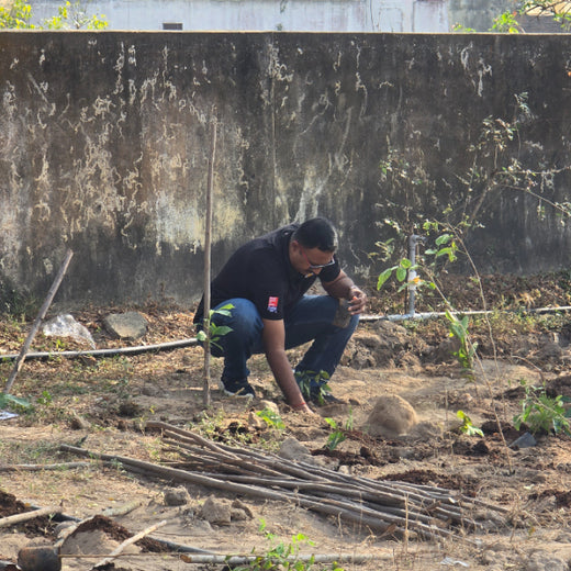 Caterpillar's Legacy: A Learning forest in Kadambathur, Thiruvallur – 6 months